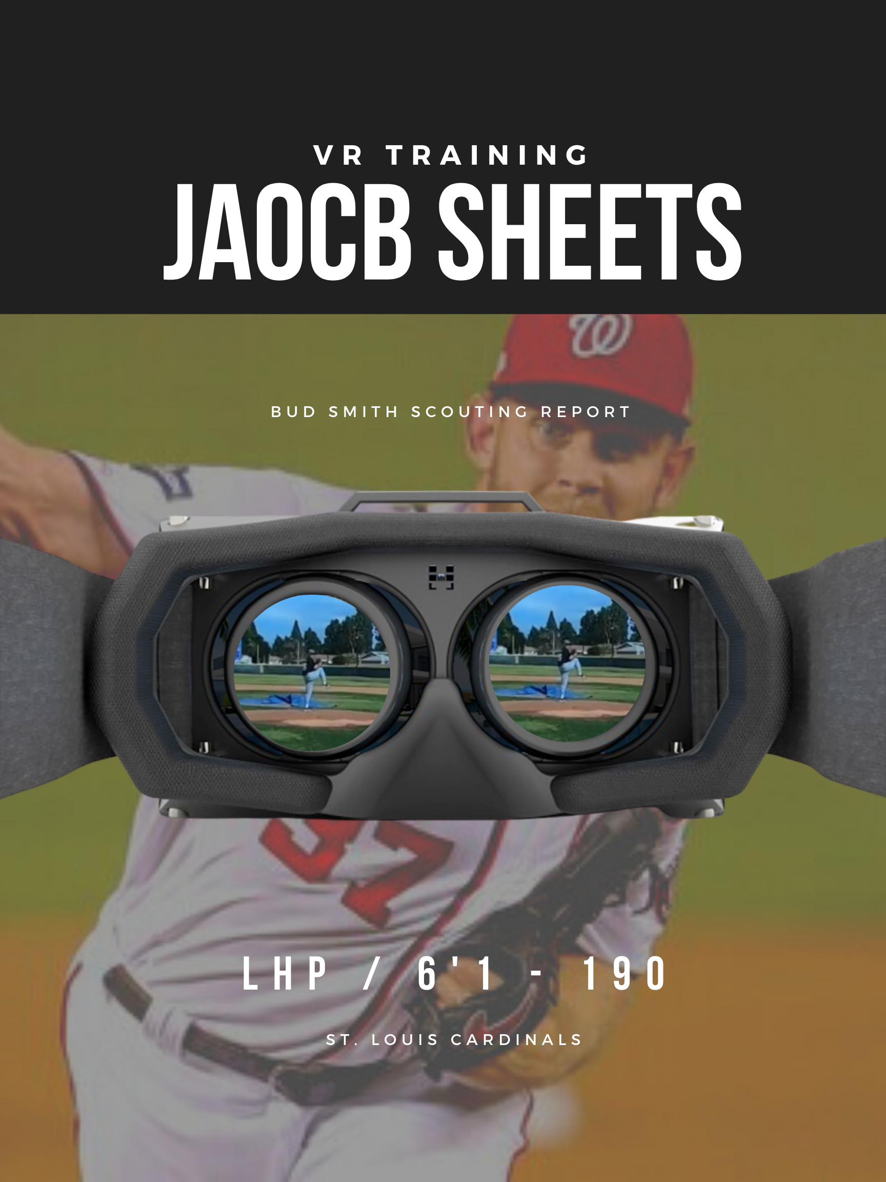 test vr carousel - Applied Vision Baseball